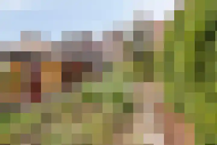 Keulsebaan 23 Roermond thumbnail 27