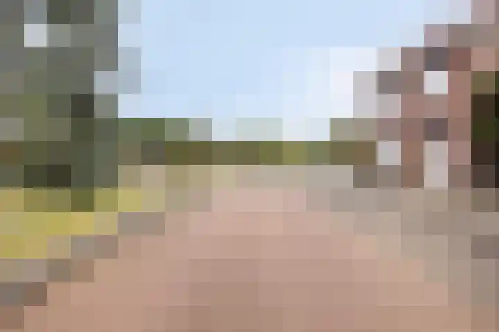 Keulsebaan 23 Roermond thumbnail 34