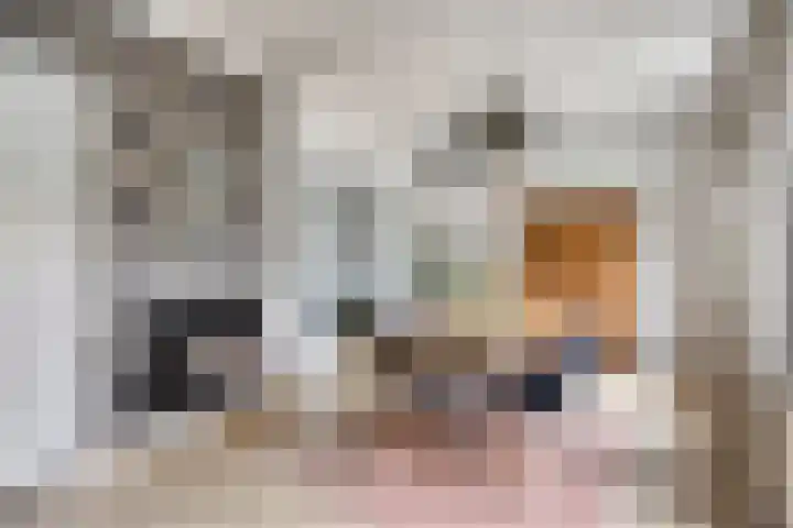 Keulsebaan 23 Roermond thumbnail 6