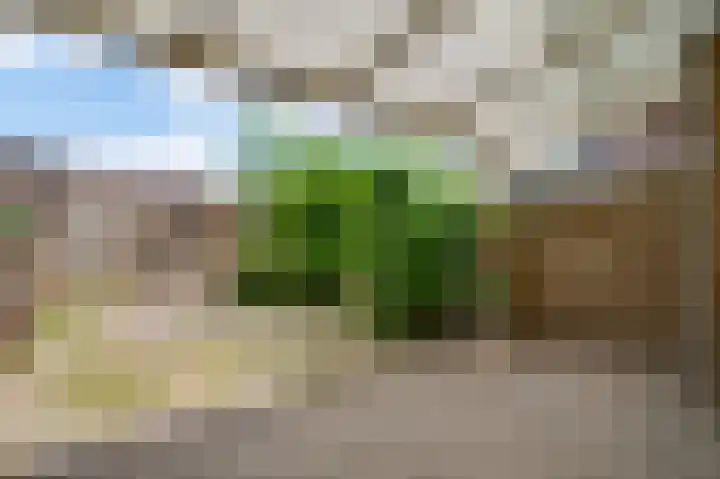 Keulsebaan 7 Roermond thumbnail 5