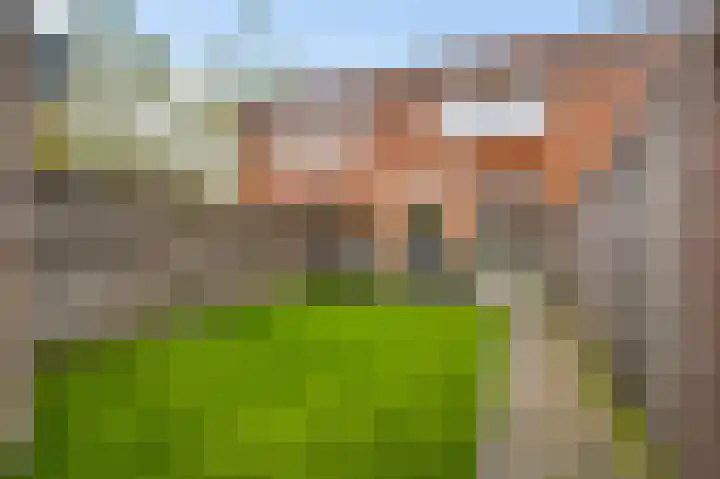 Keulsebaan 96 Roermond thumbnail 24