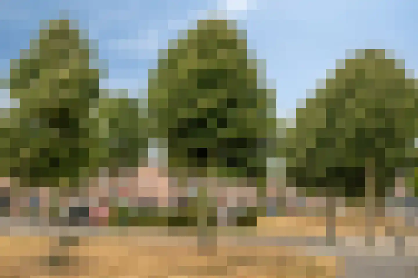 Keulsebaan 98 Roermond thumbnail 33