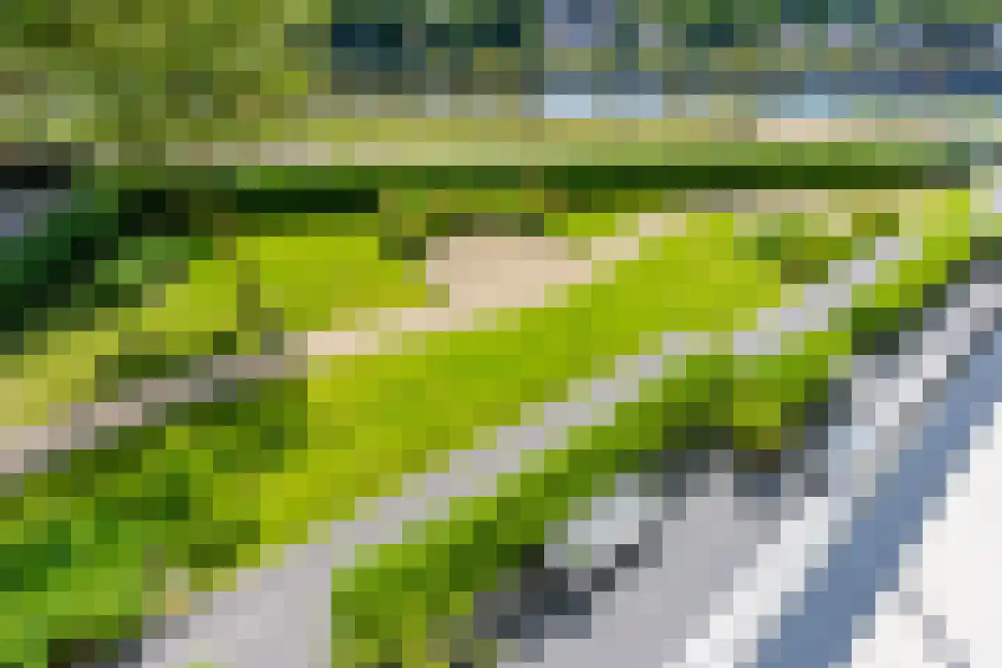 Keulsekade 130 C Utrecht thumbnail 20