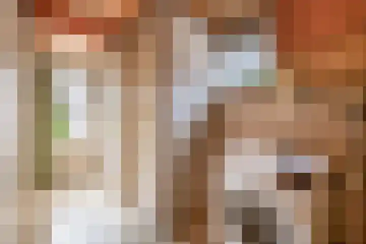Keulseweg 120 Reuver thumbnail 11