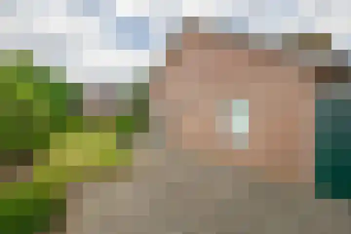 Keulseweg 120 Reuver thumbnail 27