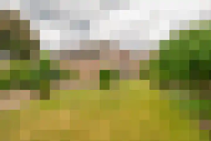 Keulseweg 120 Reuver thumbnail 28