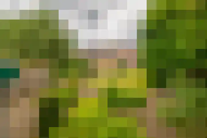 Keulseweg 120 Reuver thumbnail 29