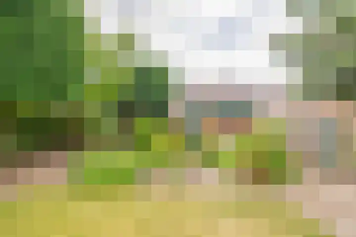 Keulseweg 120 Reuver thumbnail 30