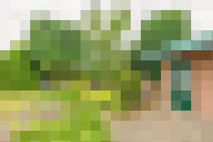 Keulseweg 120 Reuver thumbnail 31