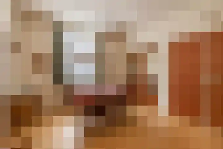 Keulseweg 120 Reuver thumbnail 8