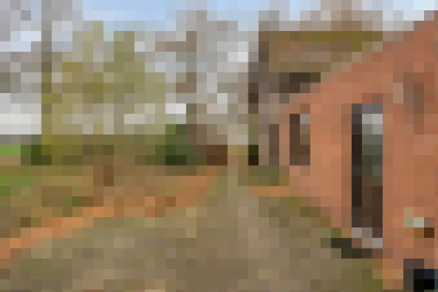 Keulseweg 165 Reuver thumbnail 31