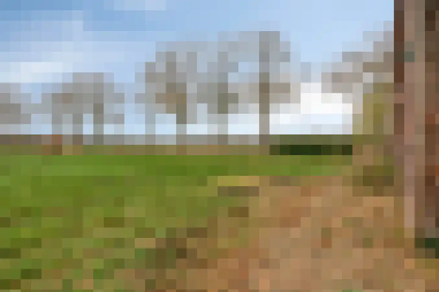 Keulseweg 165 Reuver thumbnail 33