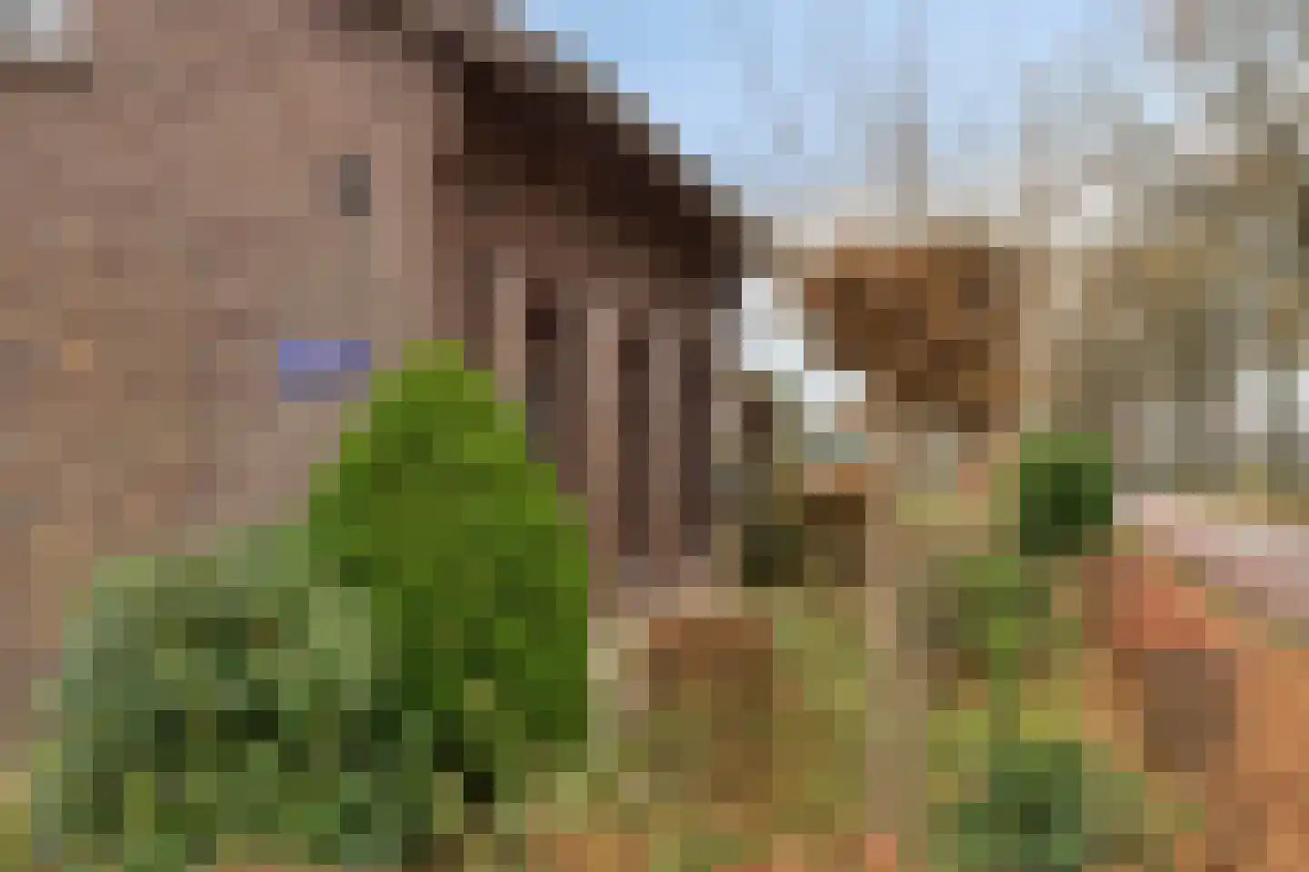 Keulseweg 165 Reuver thumbnail 5