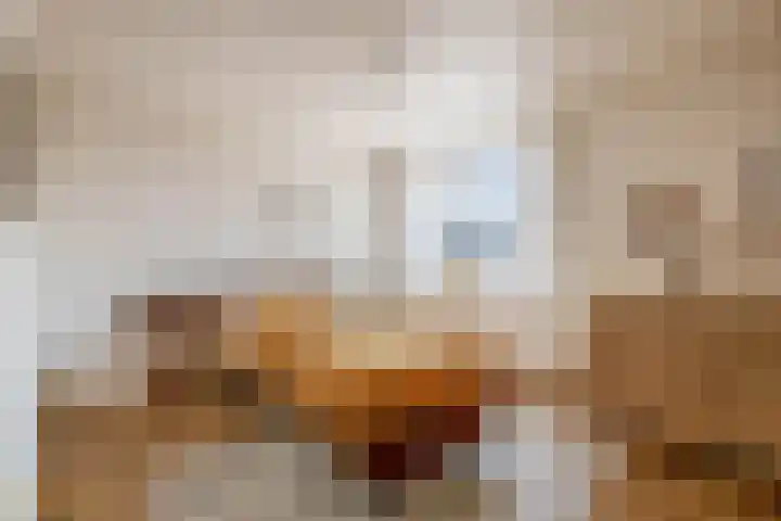 Keulseweg 21 Reuver thumbnail 17