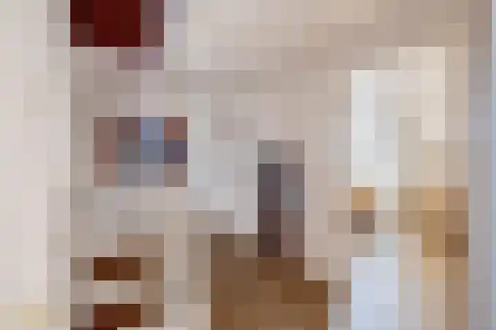 Keulseweg 21 Reuver thumbnail 22