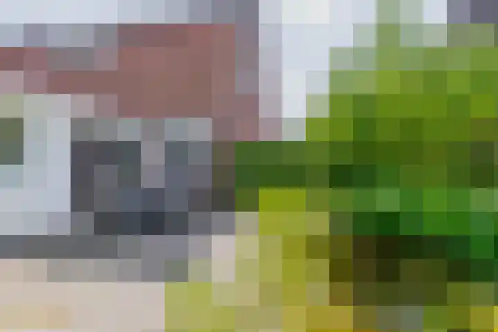 Keulseweg 21 Reuver thumbnail 26