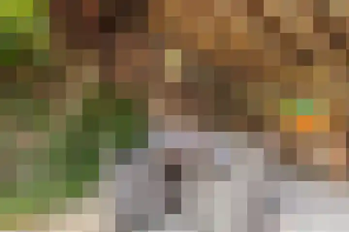 Keulseweg 21 Reuver thumbnail 31