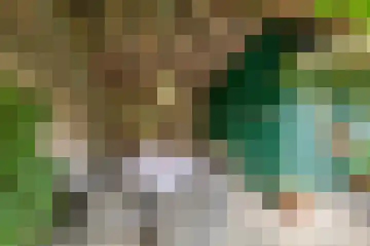 Keulseweg 21 Reuver thumbnail 32