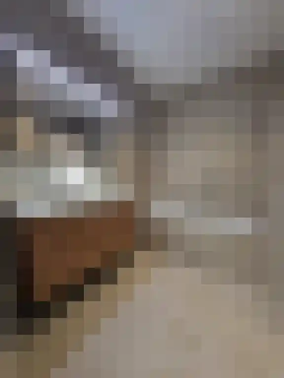 Keulseweg 37 a Reuver thumbnail 6