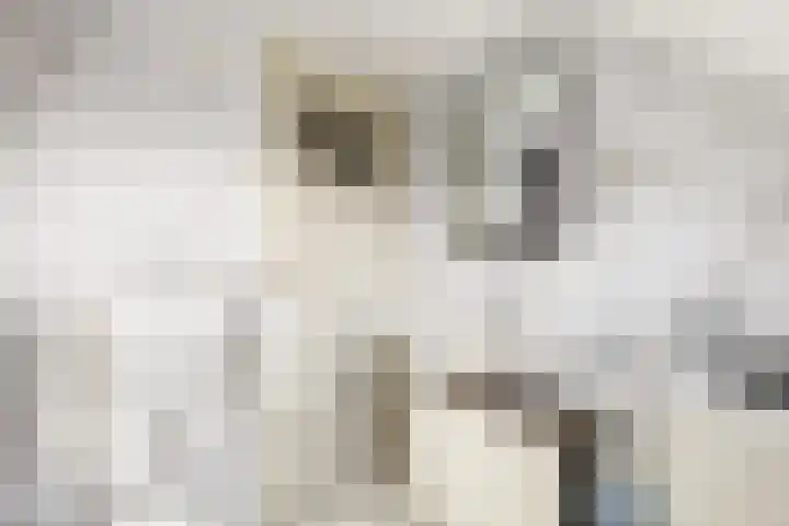 Keulseweg 58 Reuver thumbnail 32