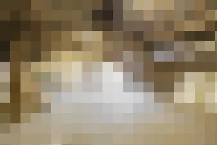 Keulseweg 58 Reuver thumbnail 37