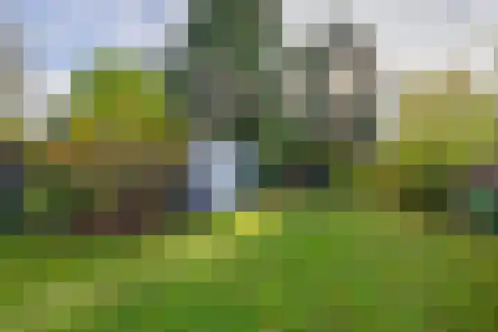Keulseweg 58 Reuver thumbnail 42