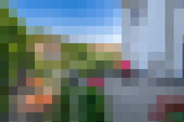 Keulseweg 73 a Reuver thumbnail 39