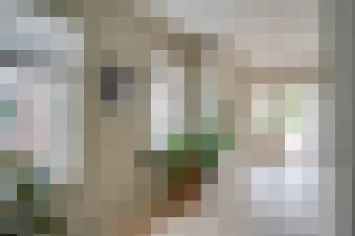 Keulseweg 78 Reuver thumbnail 19