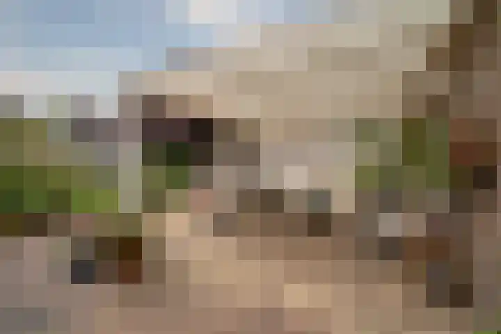 Keulseweg 78 Reuver thumbnail 28