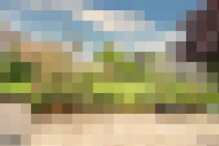 Keulseweg 78 Reuver thumbnail 30