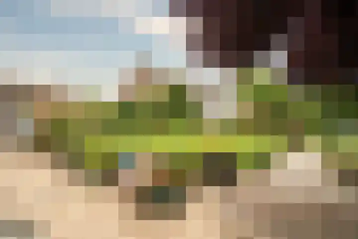 Keulseweg 78 Reuver thumbnail 31