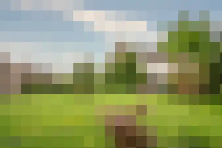Keulseweg 78 Reuver thumbnail 34