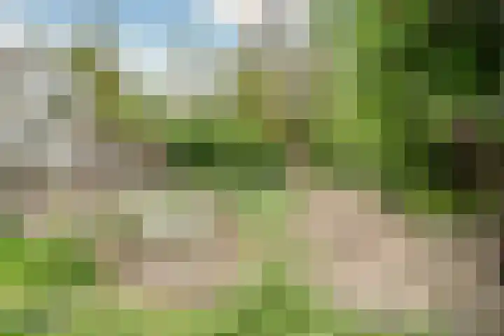 Keulseweg 78 Reuver thumbnail 35