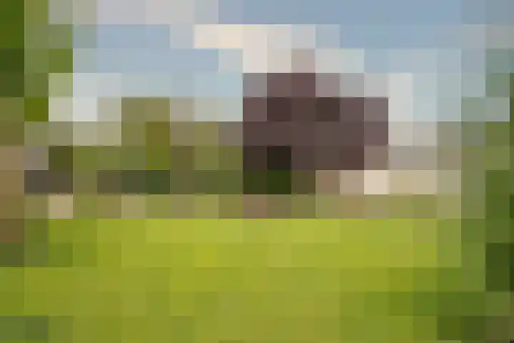 Keulseweg 78 Reuver thumbnail 37