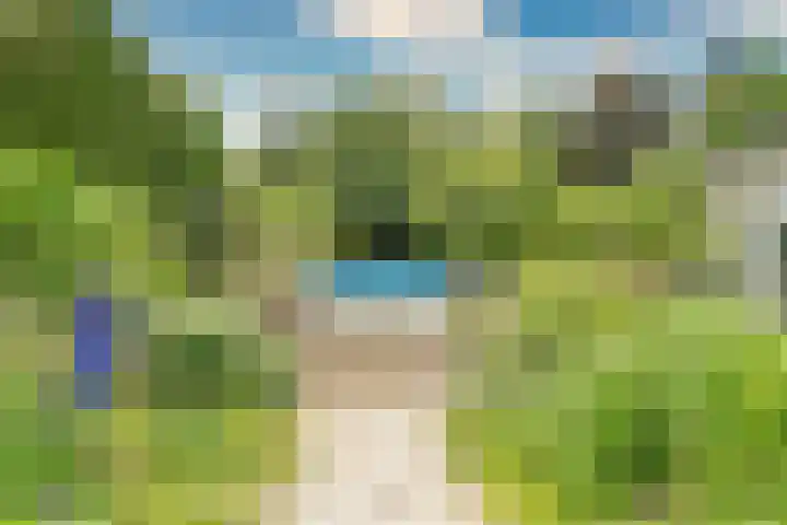 Keulseweg 78 Reuver thumbnail 40