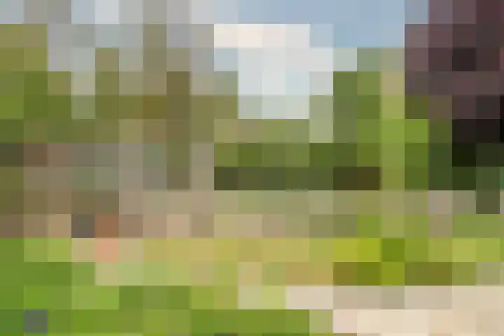 Keulseweg 78 Reuver thumbnail 41