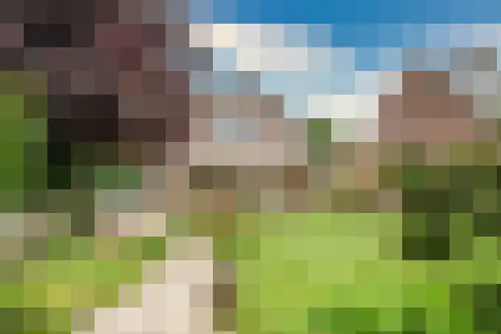 Keulseweg 78 Reuver thumbnail 42
