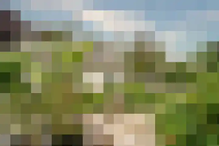 Keulseweg 78 Reuver thumbnail 44