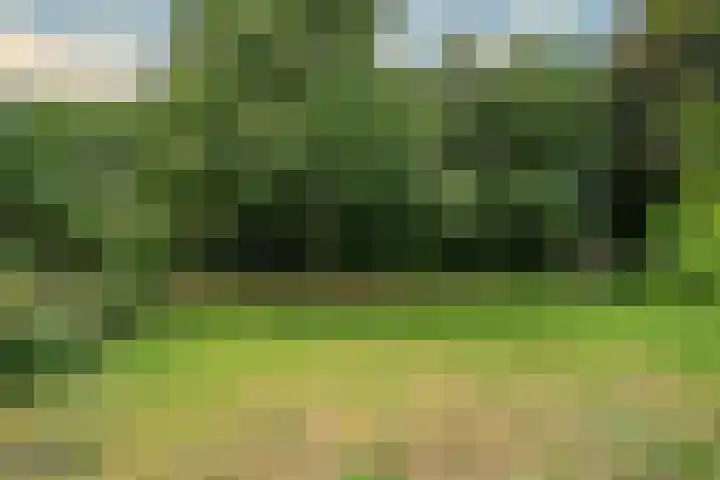 Keulseweg 78 Reuver thumbnail 48