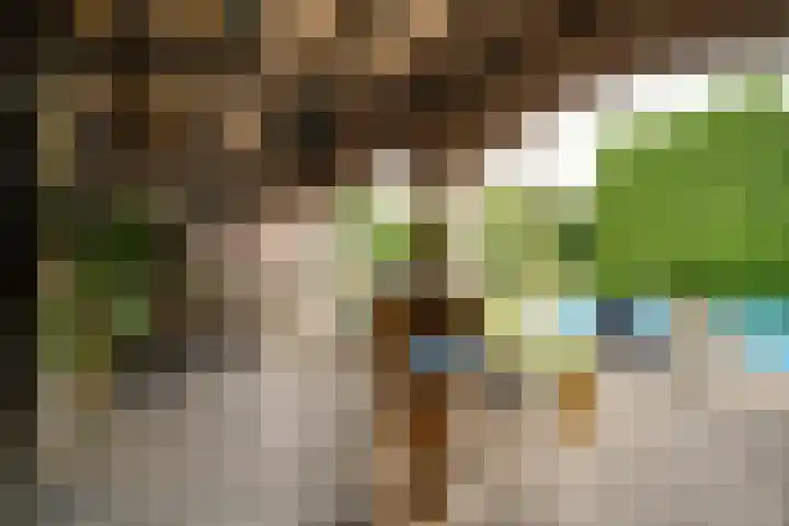Keulseweg 78 Reuver thumbnail 50