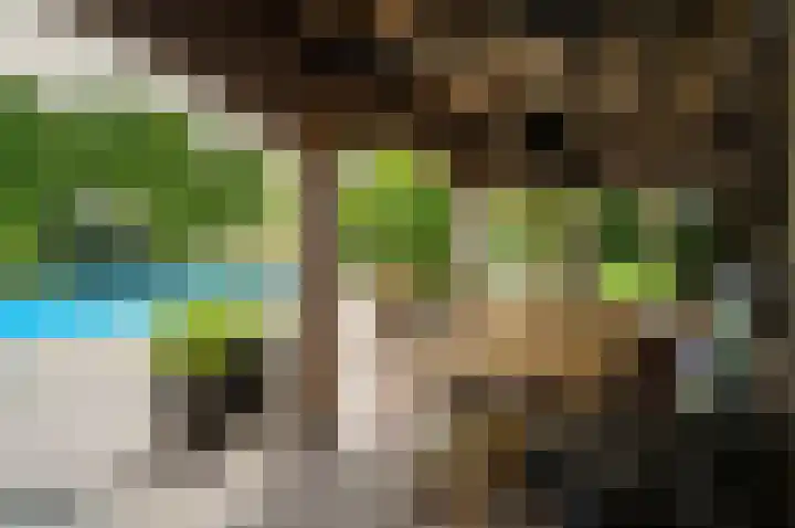 Keulseweg 78 Reuver thumbnail 52