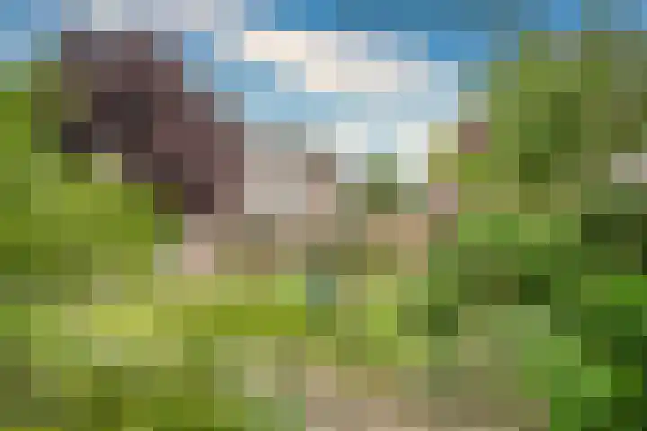 Keulseweg 78 Reuver thumbnail 57