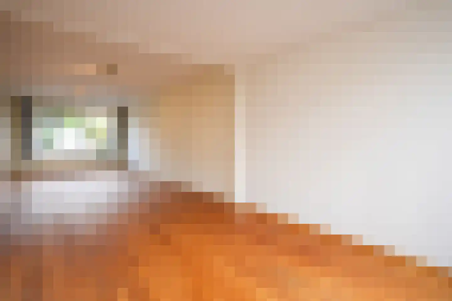 Keulsteeg 37 Beek thumbnail 6