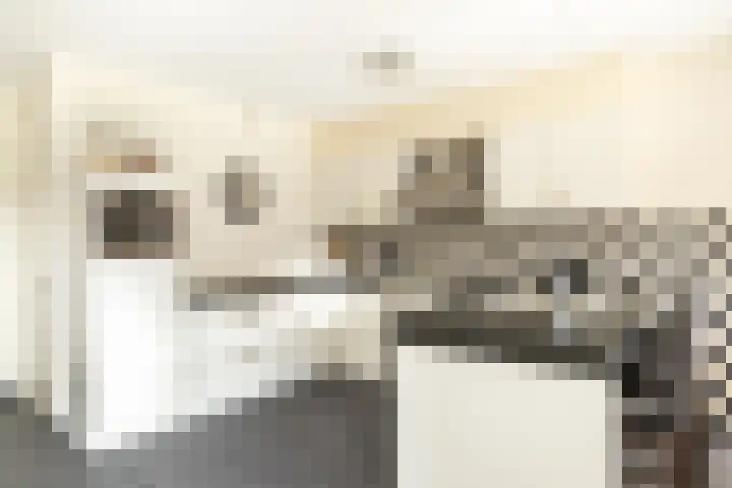 Keulvoet 14 Kampen thumbnail 12