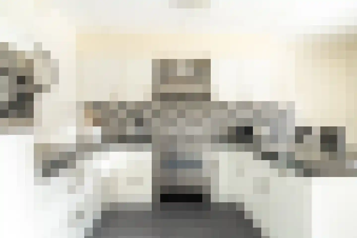 Keulvoet 14 Kampen thumbnail 13