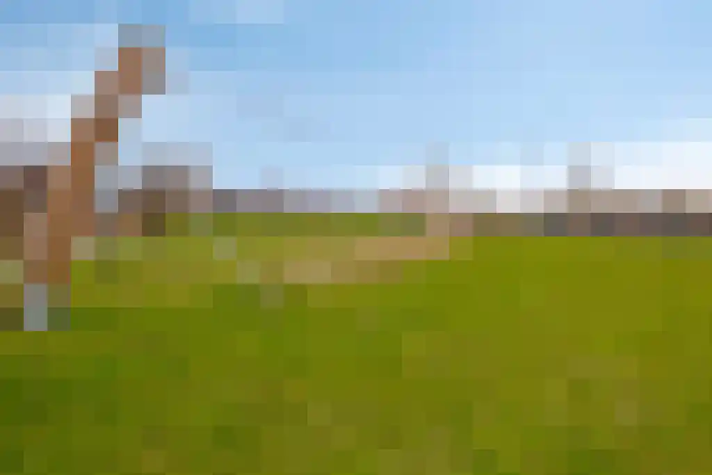 Keulvoet 14 Kampen thumbnail 51