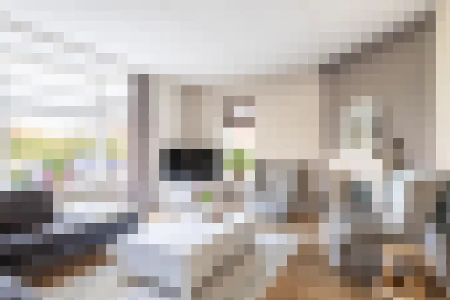 Keulvoet 14 Kampen thumbnail 6