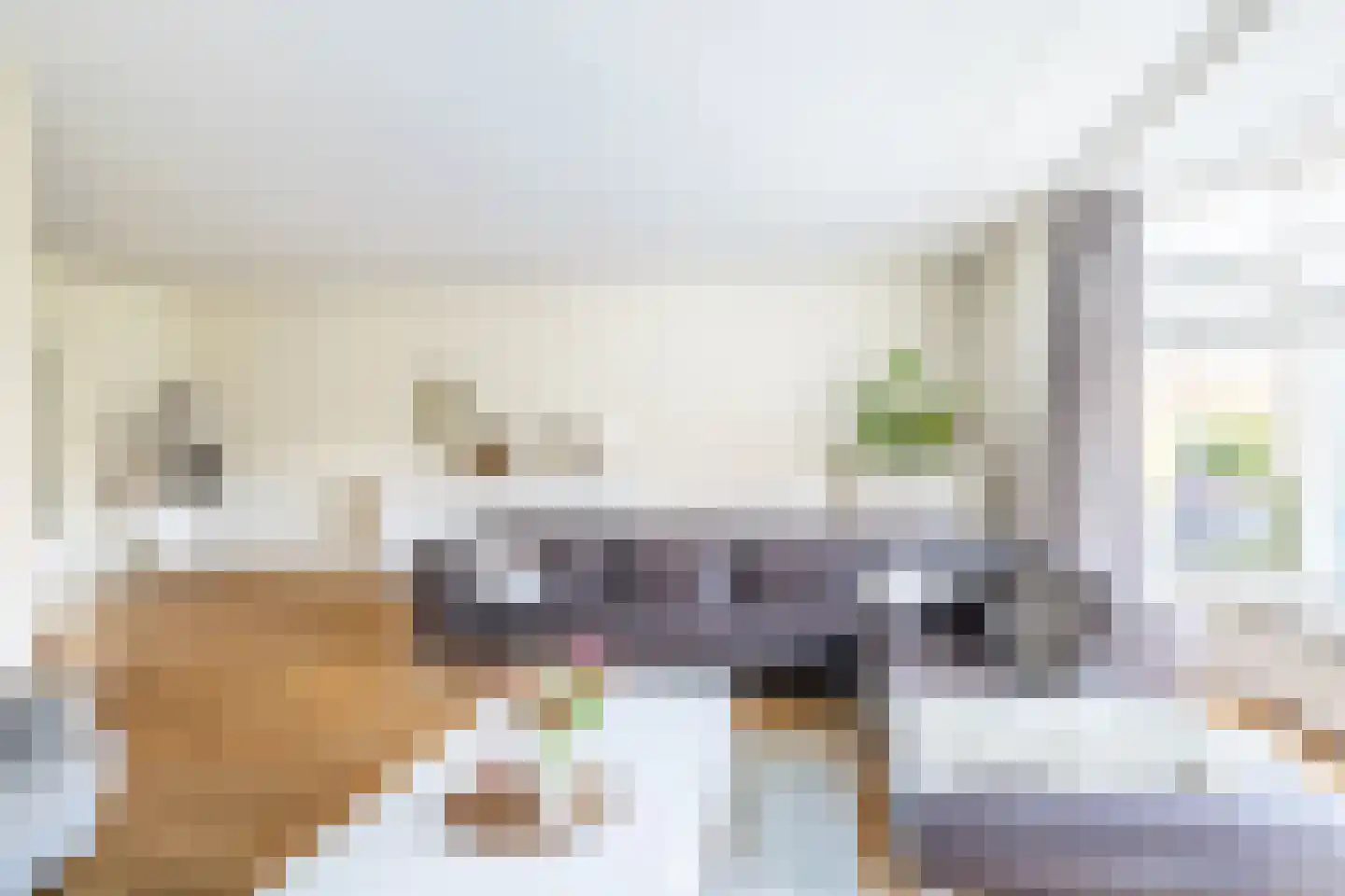 Keulvoet 14 Kampen thumbnail 7