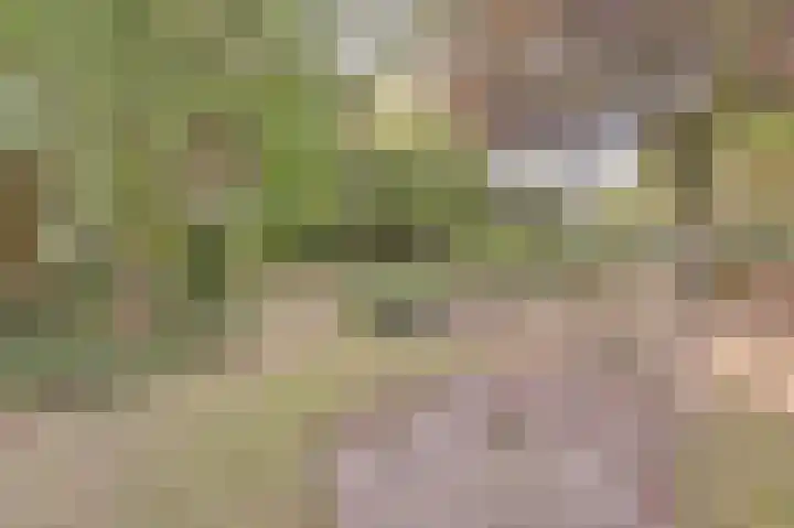 Keup 9 Egchel thumbnail 30
