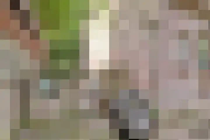 Keup 9 Egchel thumbnail 34